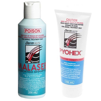 Malaseb Medicated Dog Shampoo 250ml & Pyohex Conditioner 100ml Starter Pack image