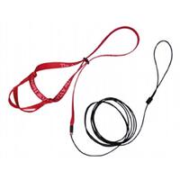 The Aviator Bird Safety Harness & Leash w/ DVD Red - 5 Sizes image
