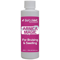 BetaVet Natural Solutions Horse Arnica Magic Muscle Tendon 250ml image