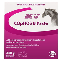 Cophos B Paste Vitamin B12 Lactic Acid Muscle Vitamin Dog Horse 250g  image
