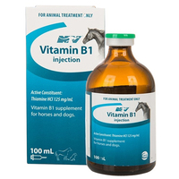 Ceva Vitamin B1 Horse Dog Supplement 100ml image