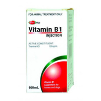 Value Plus Vitamin B1 Horse Dog Supplement 100ml  image