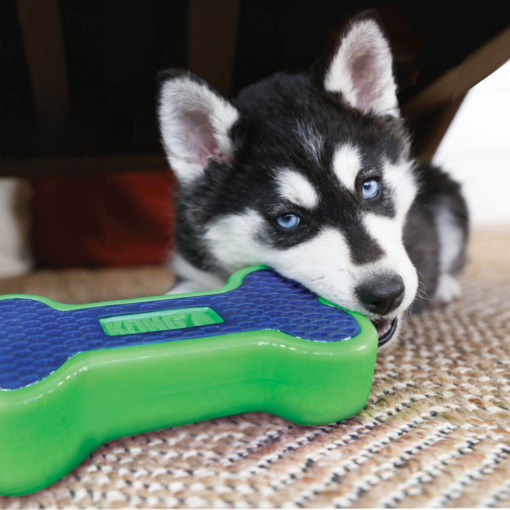 Fire hydrant dog sales toy
