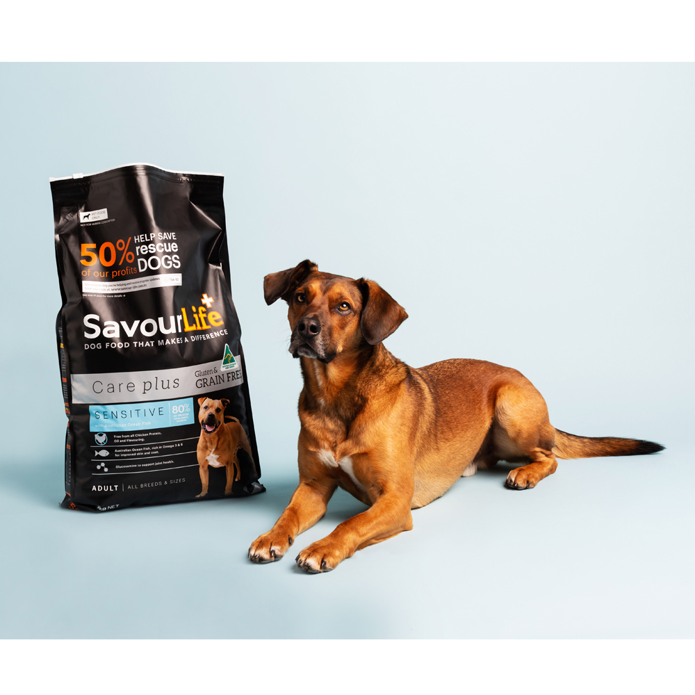 Savour life dog food 20kg hotsell