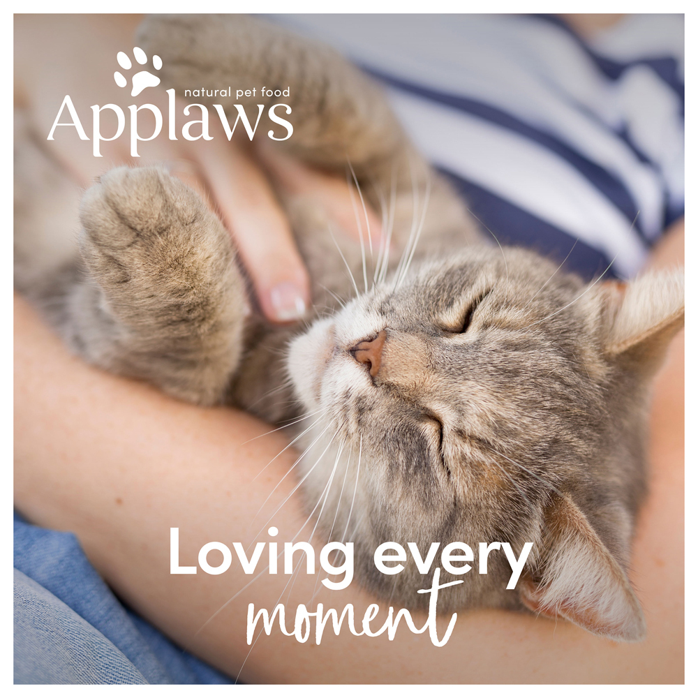 Applaws cat litter sale