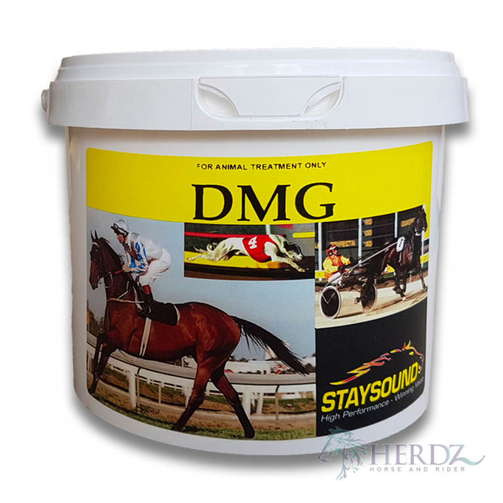 Staysound DMG Energy Booster & Recovery Horse Supplement 3 Sizes
