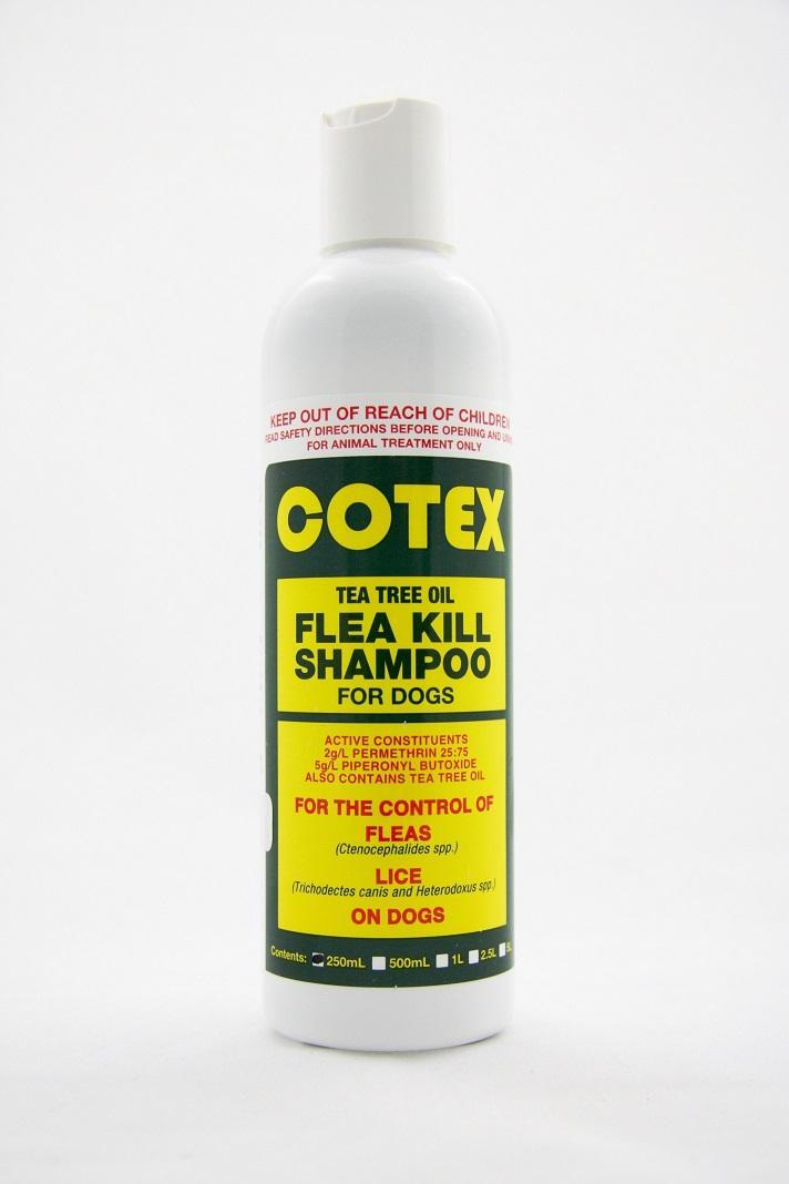 Can Tea Tree Oil Kill Dogs