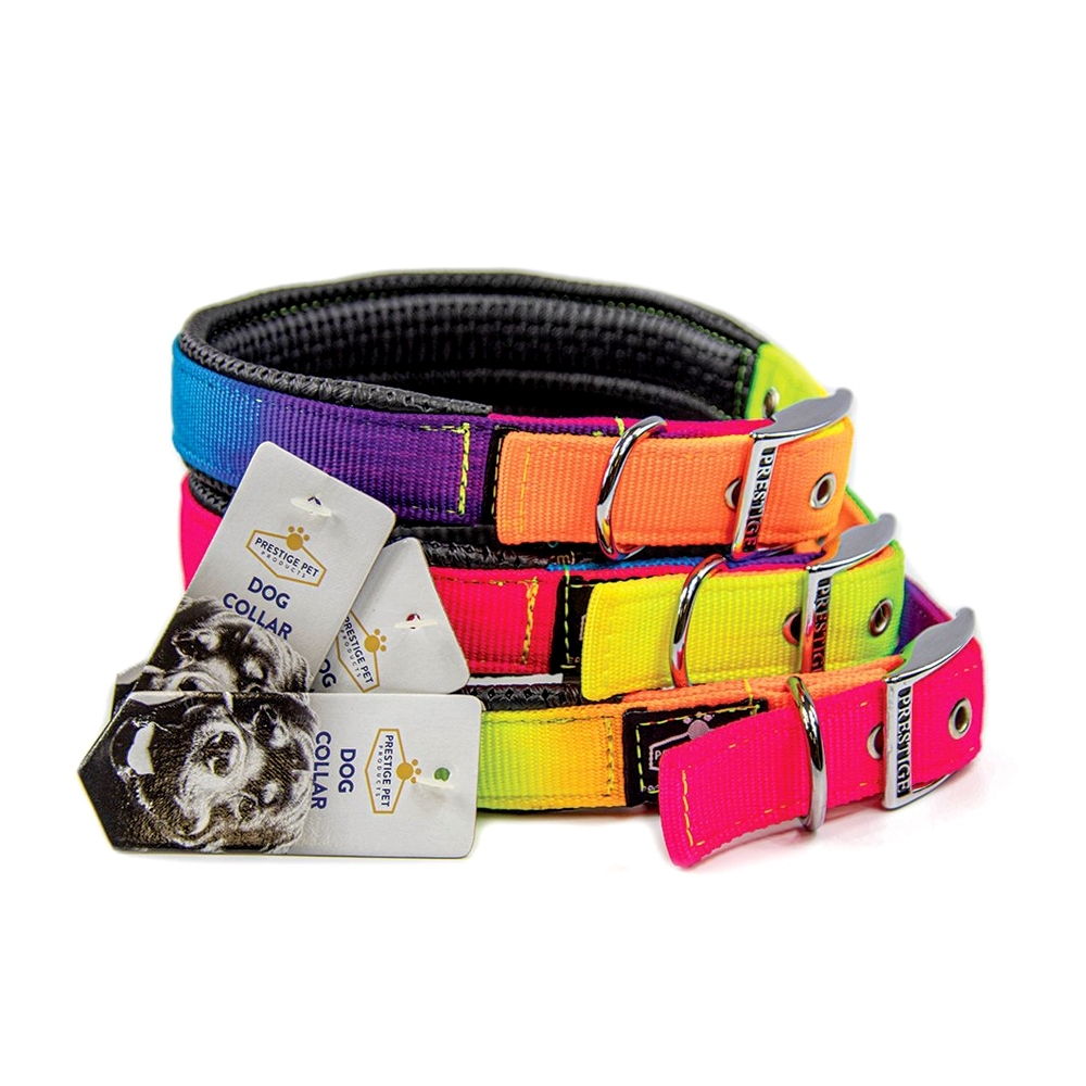 Prestige Pet Soft Padded Nylon Dog Collar Rainbow 1" 3 Sizes