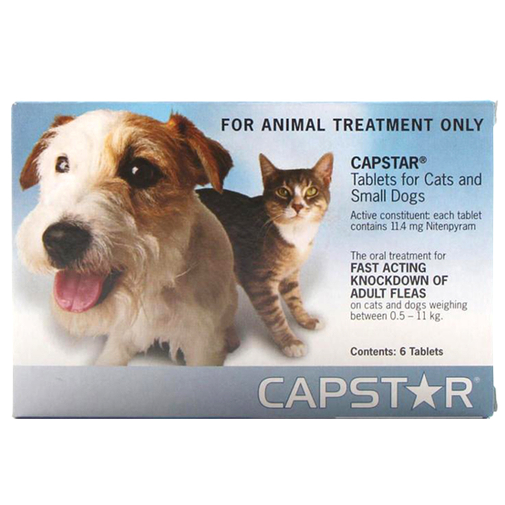Novartis Capstar Oral Antiparasitic Small Pet Cats Dogs Flea 6 x 11.4mg