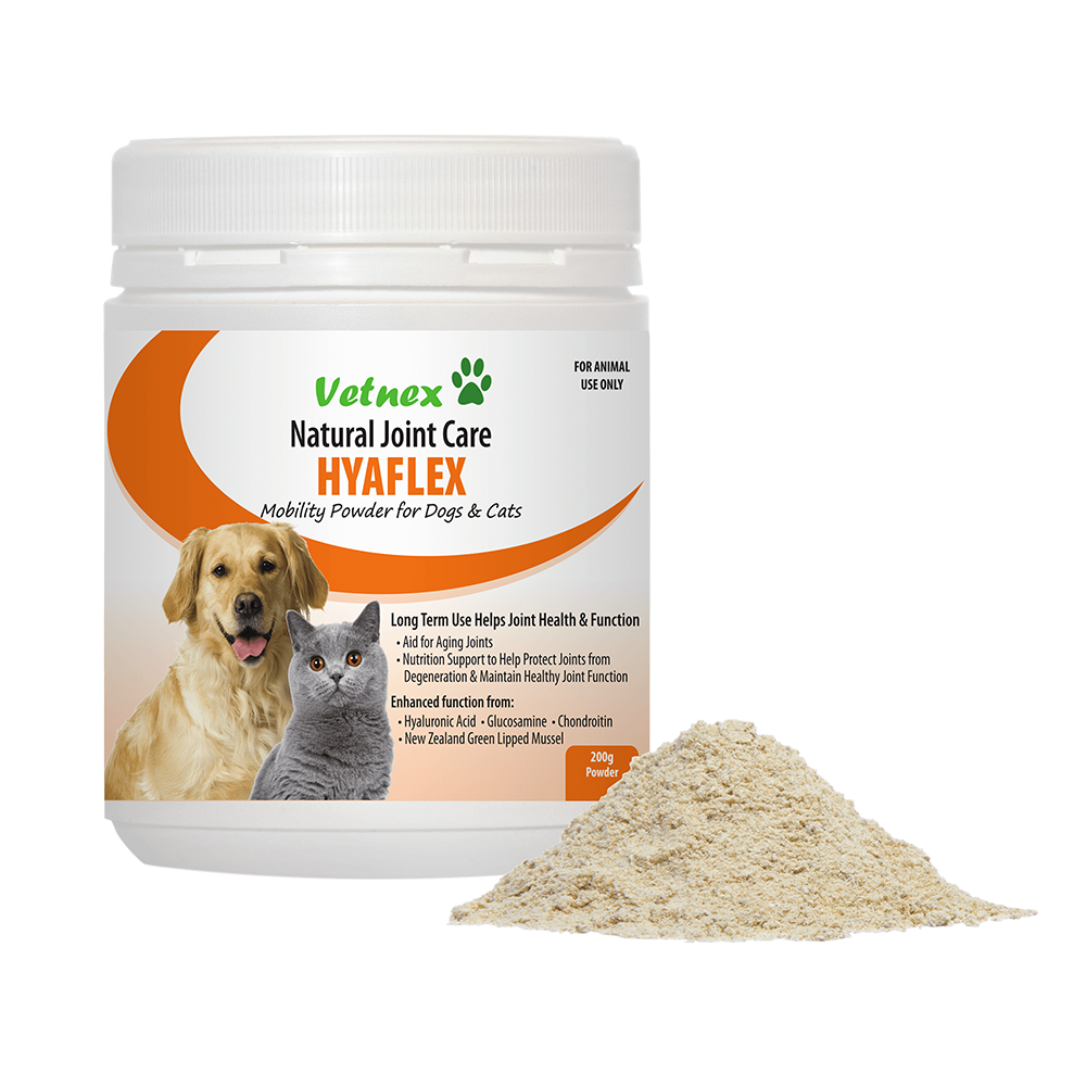 Glucosamine chondroitin powder for dogs online