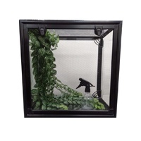 URS Stick Insects Starter Kit Package incl Pee-Wee Terrarium image