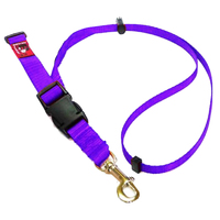Black Dog Adjustable Grooming Loop for Dogs Purple image