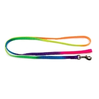 Prestige Pet Nylon Cat & Puppy Safety Leash Rainbow 3/8" x 4' 122cm image