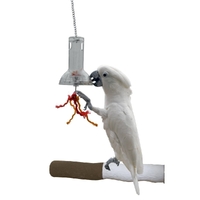 Featherland Paradise Foraging Capsule Bird Toy 48 x 11 x 11cm image