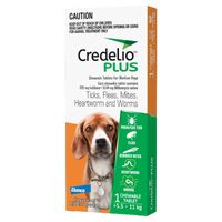 Credelio Plus Ticks & Fleas Treatment Chewable Tablets for Medium Dogs Orange 1 Pack image
