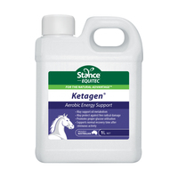 Stance Equitec Ketagen Horse Aerobic Energy Support 1L image