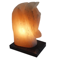 Minrosa Horse Head Hygroscopic Salt Lamps Home Décor image