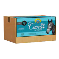 Olsson Blue Caviar Blocks Horses Mineral Energy Treat 15kg image