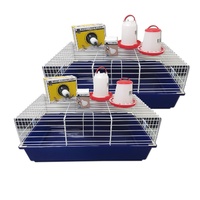 iPetz Small Chicken Starter Kits for Rearing Young Chickens Qty of 2 image