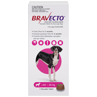 Bravecto Dog 3 Month Chew Tick & Flea Treatment 40-56kg Extra Large Purple image
