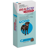 Bravecto Dog 1 Month Chew Tick & Flea Treatment 20-40kg Large Blue image