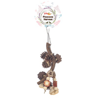 Beak Joy Pinecone Harvest Interactive Play Natural Bird Chew Toy image