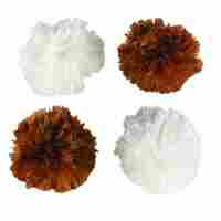 Petface Precious Paws Kitten Pom Pom Balls Interactive Cat Toy 4pcs image