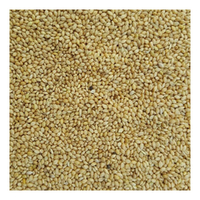 Green Valley Pannicum Millet for Budgies 20kg image