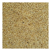 Green Valley Pannicum Millet for Budgies 20kg image