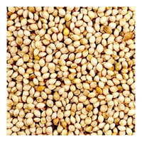 Green Valley White French Millet Nutritious Animal Feed 20kg image