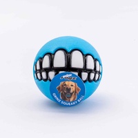 Rogz Grinz Squeaks Ball Interactive Dog Squeaker Toy Turquoise Medium image