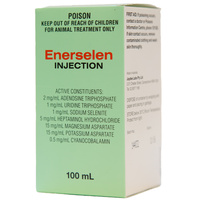 Ausrichter Enerselen Horse Muscle Disorder Treament 100ml  image