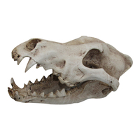 URS Ornament Wolf Skull Reptile Enclosure Accessory image