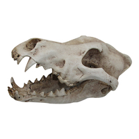 Urs Ornament Wolf Skull Reptile Enclosure Accessory image
