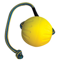 Starmark Swing & Fling Durafoam Dog Fetch Ball - 2 Sizes image