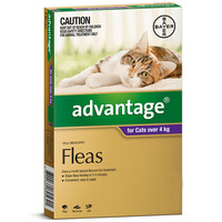 Advantage Large Cat 4kg Over Purple Spot On Flea Treatment - 3 Sizes image