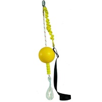 Aussie Dog Home Alone Pet Hanging Bungie Ball Toy - 5 Sizes image