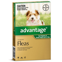 Advantage Small Dog 0-4kg Green Spot On Flea Treatment - 3 Sizes image