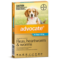 Advocate Medium Dog 4-10kg Teal Spot On Flea Wormer Treatment - 3 Sizes image