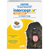 Interceptor Spectrum 11+ Kilos Medium Dogs Tasty Treat Yellow Chew - 2 Sizes image