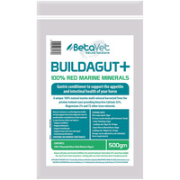 BetaVet Natural Solutions Horse Buildagut Plus Gastric Conditioner - 4 Sizes image