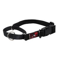 Black Dog Adjustable Dog Training Safety Collar Black - 5 Sizes image