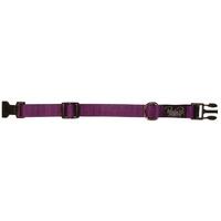 Prestige Pet 3/4 Inch Adjustable Nylon Dog Collar Purple - 2 Sizes image