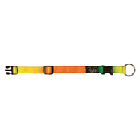 Prestige Pet 3/4" Adjustable Nylon Dog Collar Rainbow - 3 Sizes image