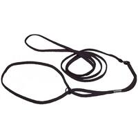 Prestige Pet Nylon Show Dog Lead Black - 3 Sizes image