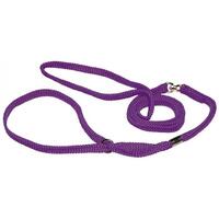 Prestige Pet Nylon Show Dog Lead Purple - 2 Sizes image