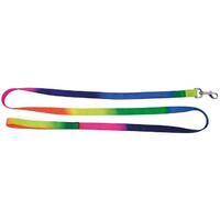 Prestige Pet Nylon Dog Leash Chrome Plated Rainbow - 2 Sizes image