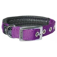 Prestige Pet Soft Padded Adjustable Dog Collar Purple 3/4 Inch - 4 Sizes image