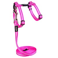 Rogz Alleycat Adjustable Cat Harness & Lead Set Pink - 2 Sizes image