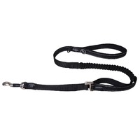Rogz Control Shock Absorbing Bungee Dog Long Lead - 5 Colours image